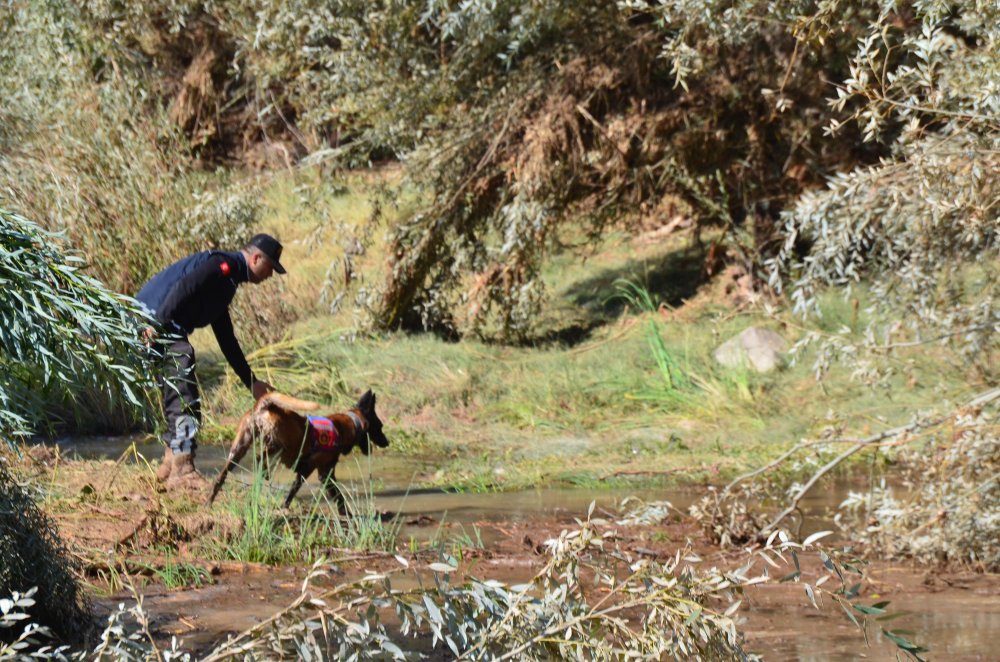 Selde kaybolan Asel bebek, 250 kişilik ekip ve 6 kadavra köpeğiyle aranıyor