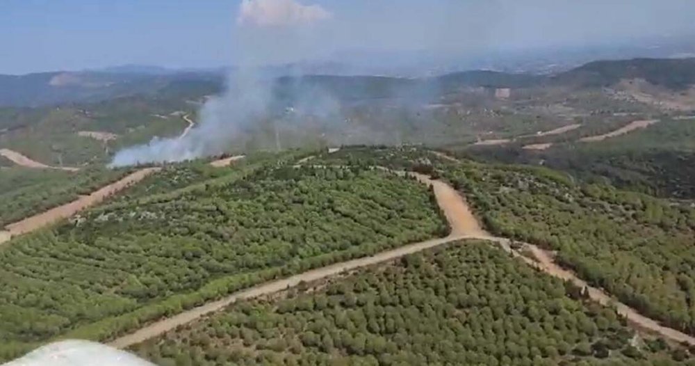 İzmir'de orman yangını