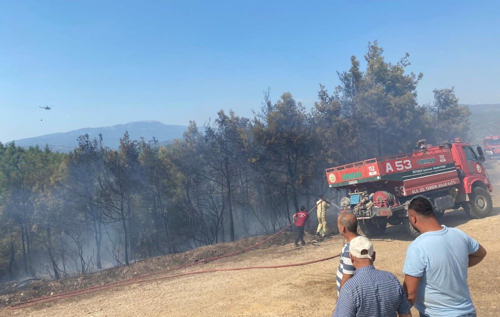 İzmir'de orman yangını