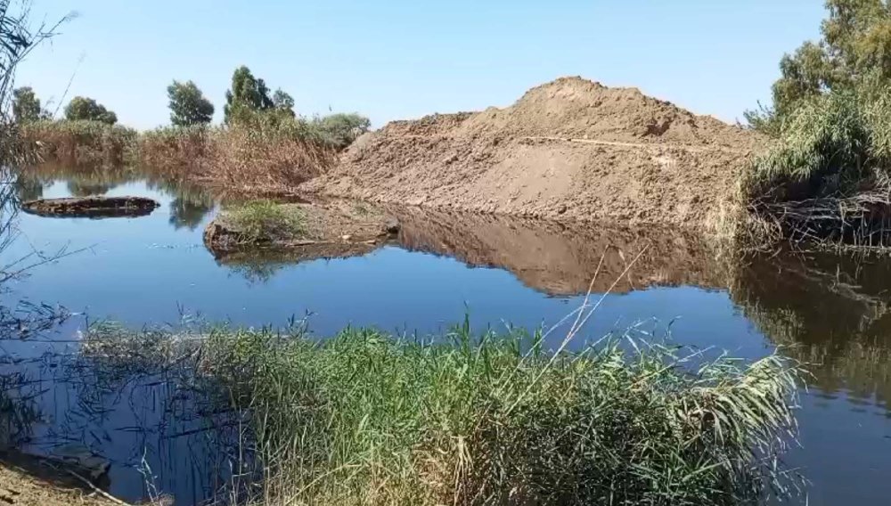 Tahliye kanalındaki toplu balık ölümleri: Sebebi belli oldu