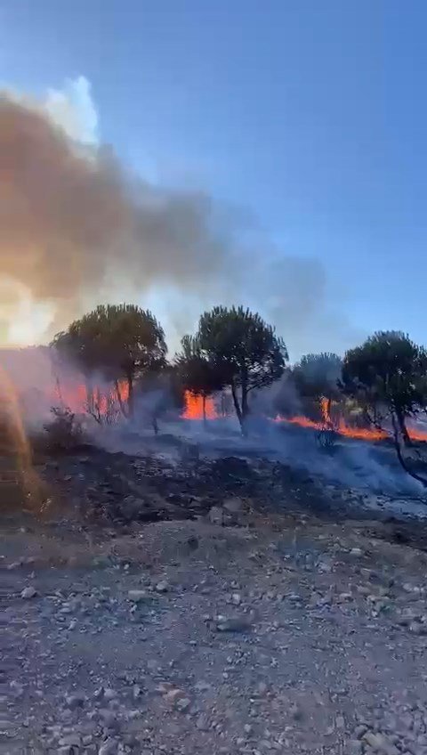 İstanbul'da orman yangını