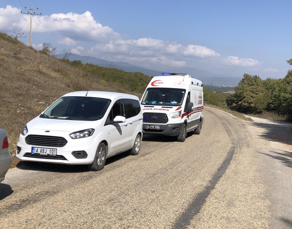 Koli bantlarıyla bağlanmış poşette ölü köpek bulundu