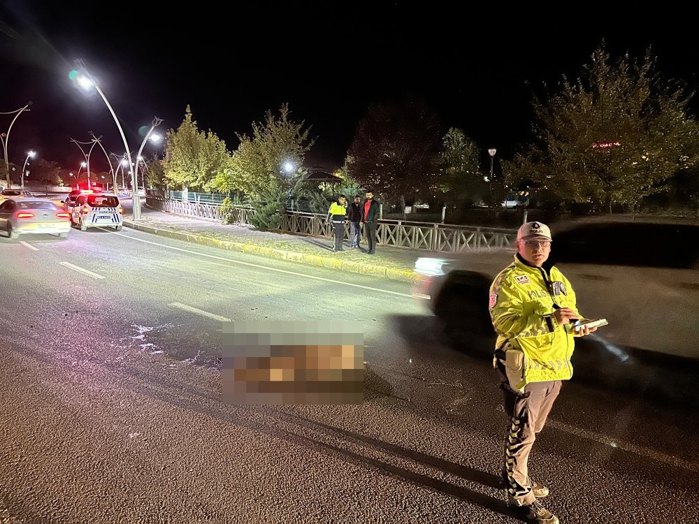 2 otomobil yola inen sürüye daldı, 2 domuz öldü