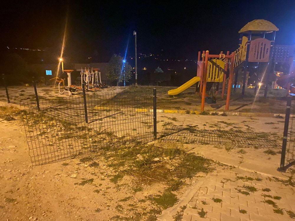 Çocuk parkında ayı paniği: Ekipler sabaha kadar aradı