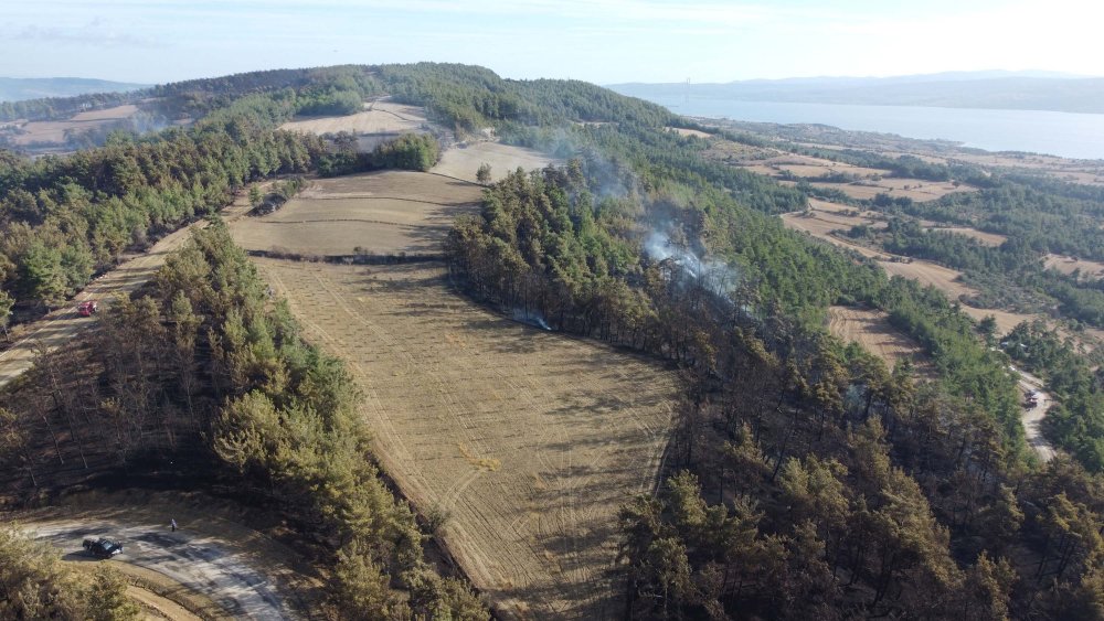 Çanakkale'deki orman yangınında soğutma çalışmaları devam ediyor