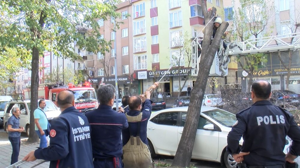 Ağacın altında kalan otomobil halatla kurtarıldı