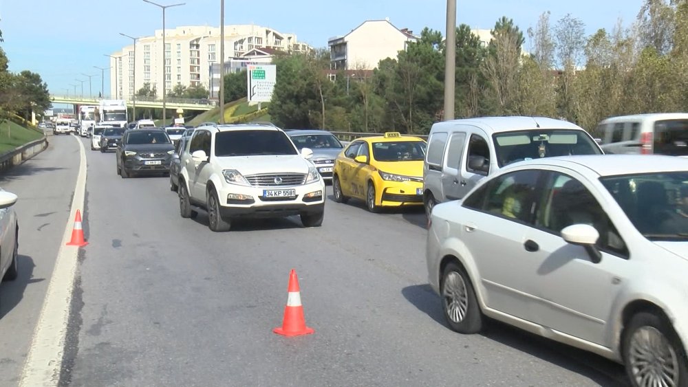 TEM'de ağaç devrildi, trafik kilitlendi!