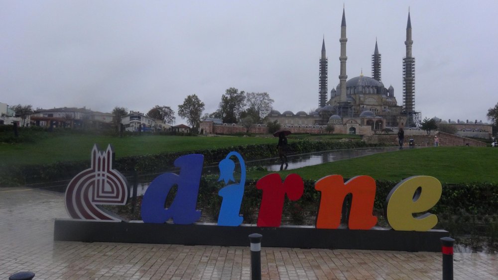 İlde kuvvetli rüzgar TIR'ı devirdi, ağaçları kökünden söktü