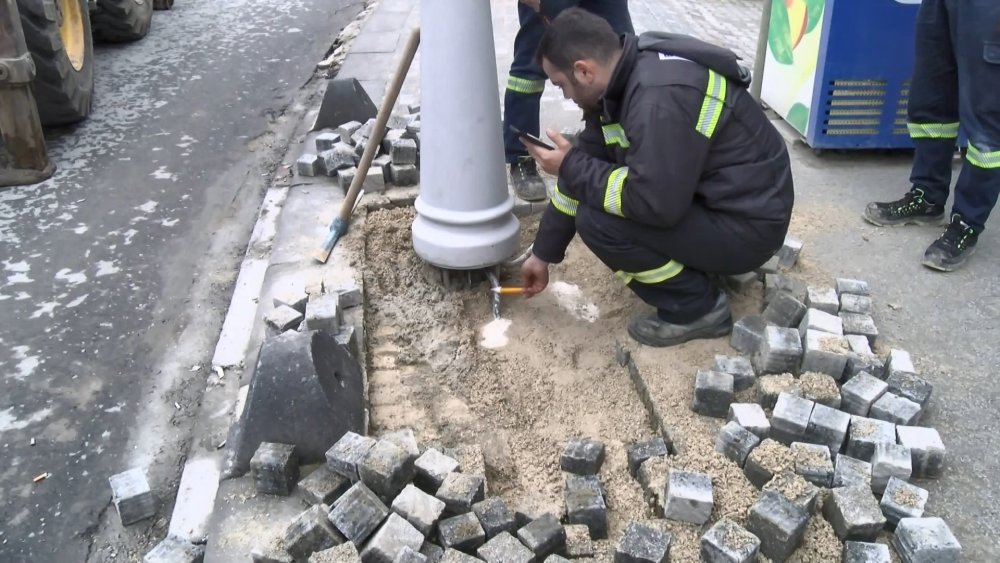 Elektrik kaçağını test etmek için köpeği kullandı!