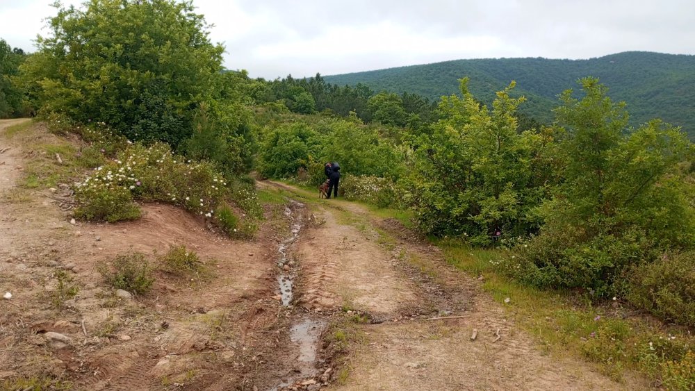 Korhan Berzeg'in kafatasına ait olduğu değerlendirilen 3 kemik parça daha bulundu