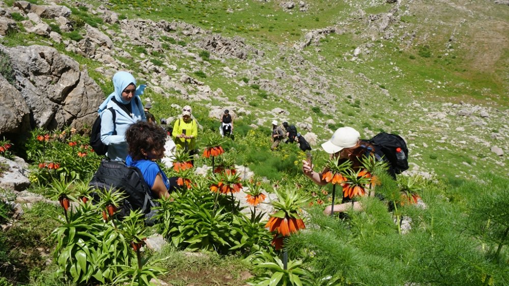 20 günlük ömrü olan çiçeği görmek için kilometrelerce yürüdüler