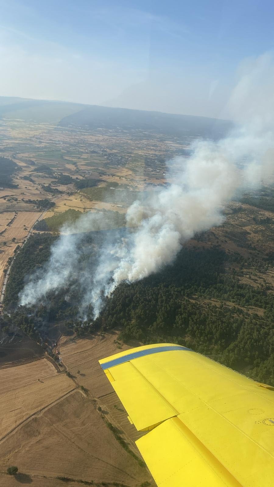 Çanakkale'de orman yangını