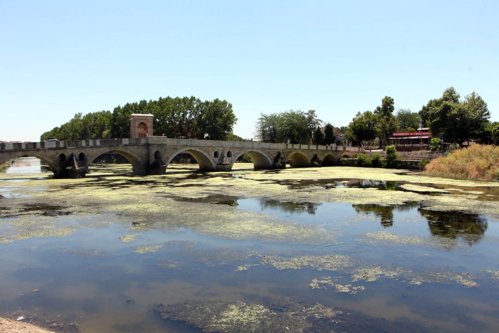 Tunca Nehri'nin yüzeyi yosunla kaplandı, debi yemyeşil oldu