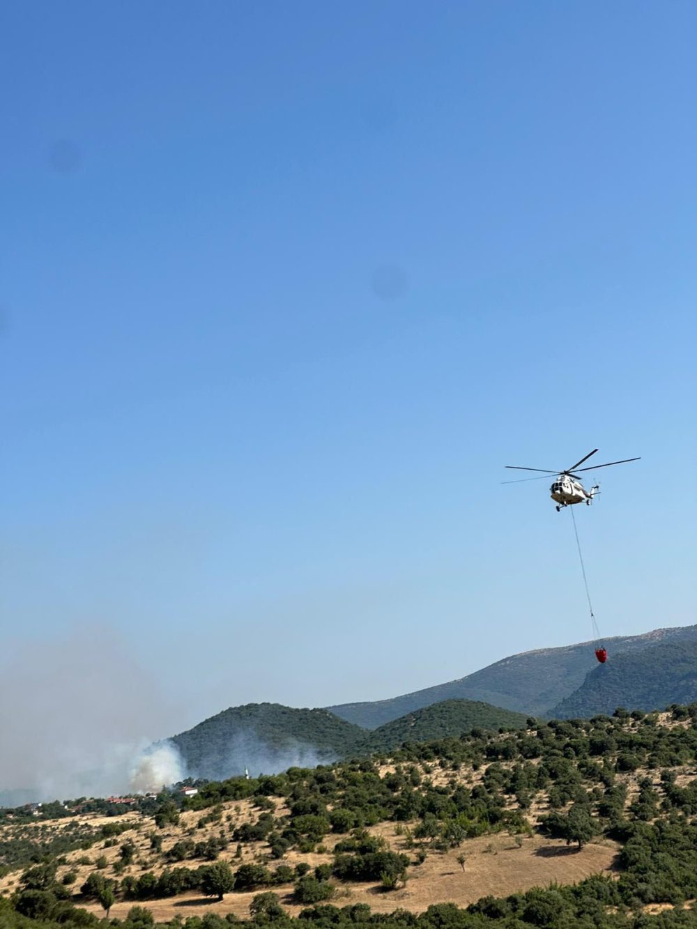 Balıkesir'deki orman yangını söndürüldü