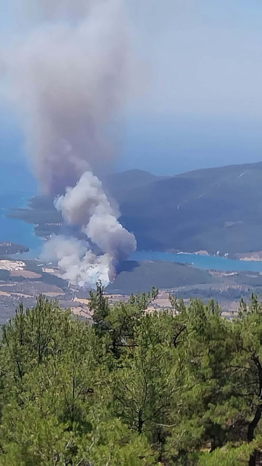 Son dakika! Muğla'da orman yangını çıktı