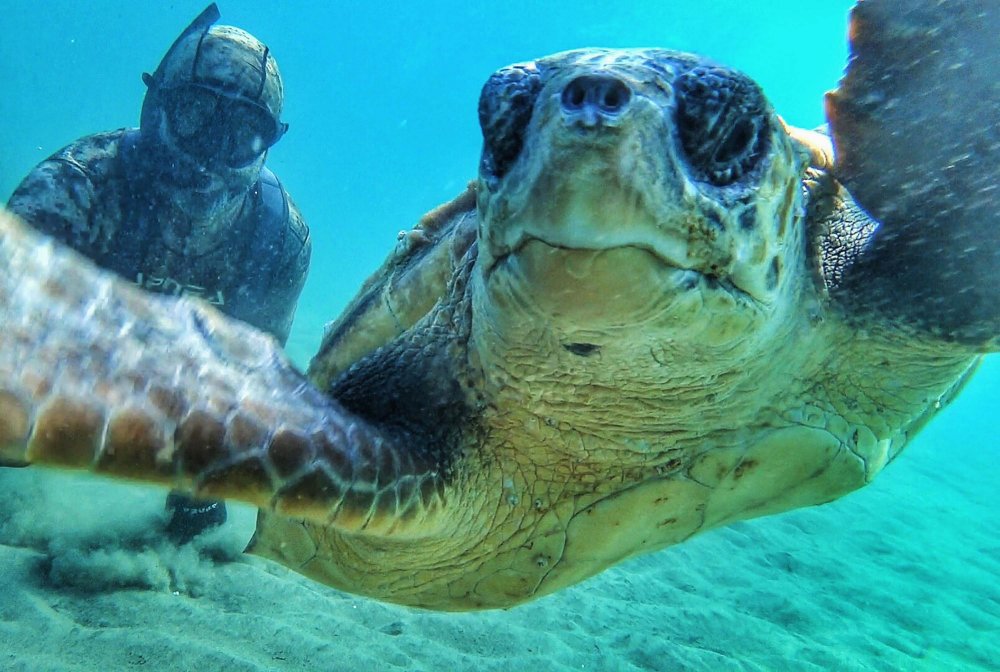 Rekortmen dalgıç, caretta caretta ile selfie çekti!