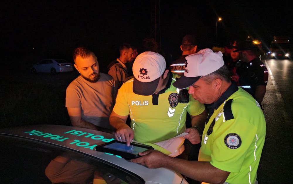 Edirne’de minibüsün çarptığı sürüdeki 16 koyun öldü