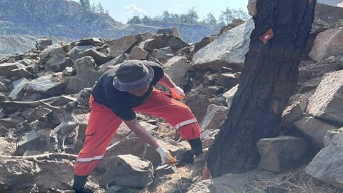 Bursa'da, küle dönen 318 hektarlık alan yeniden ormana dönüştürülüyor