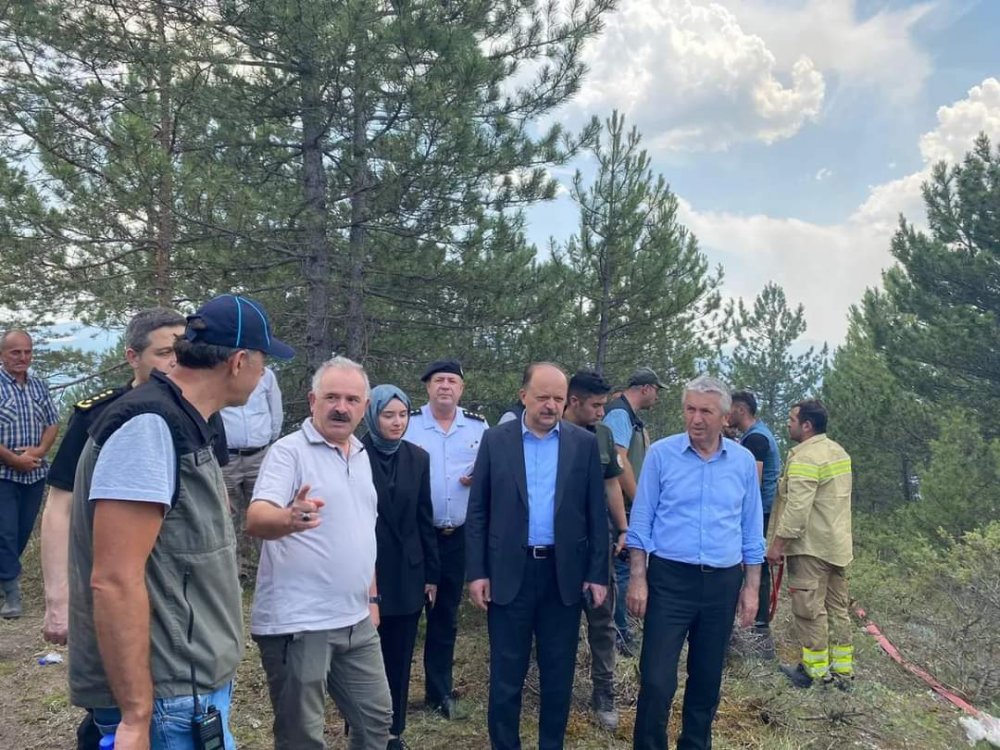 Vali Dallı, Kastamonu'da çıkan yangın bölgesinde inceleme yaptı