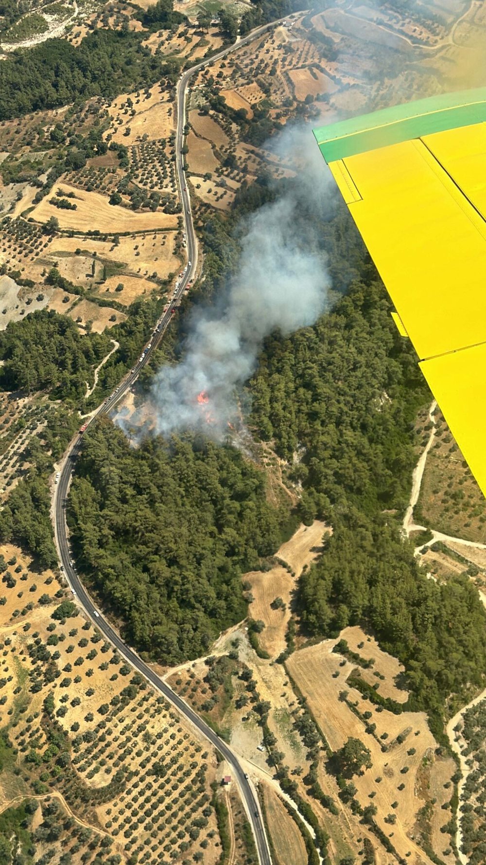 Muğla Milas'ta orman yangını çıktı