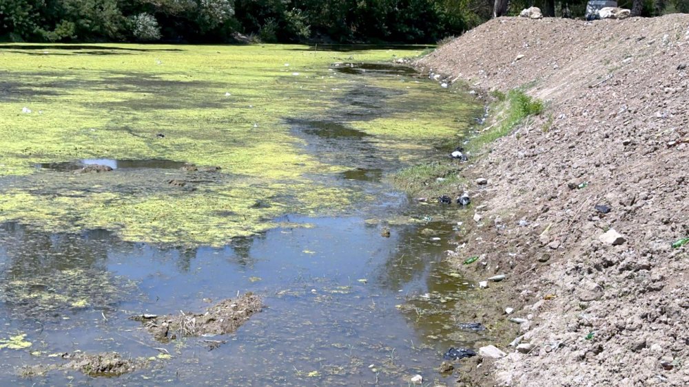 Edirne'de alarm! Meriç Nehri kritik seviyelere geldi..