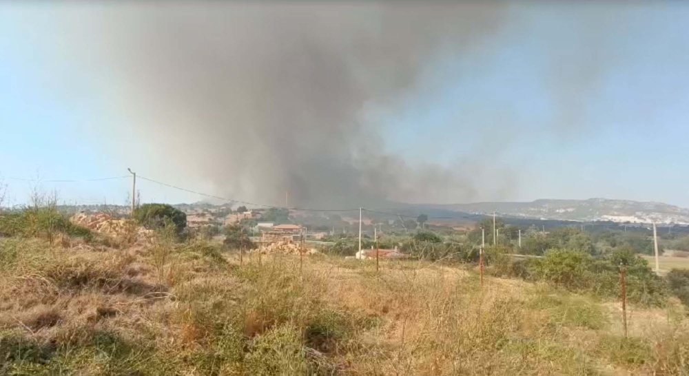 İzmir Foça'da orman yangını çıktı!