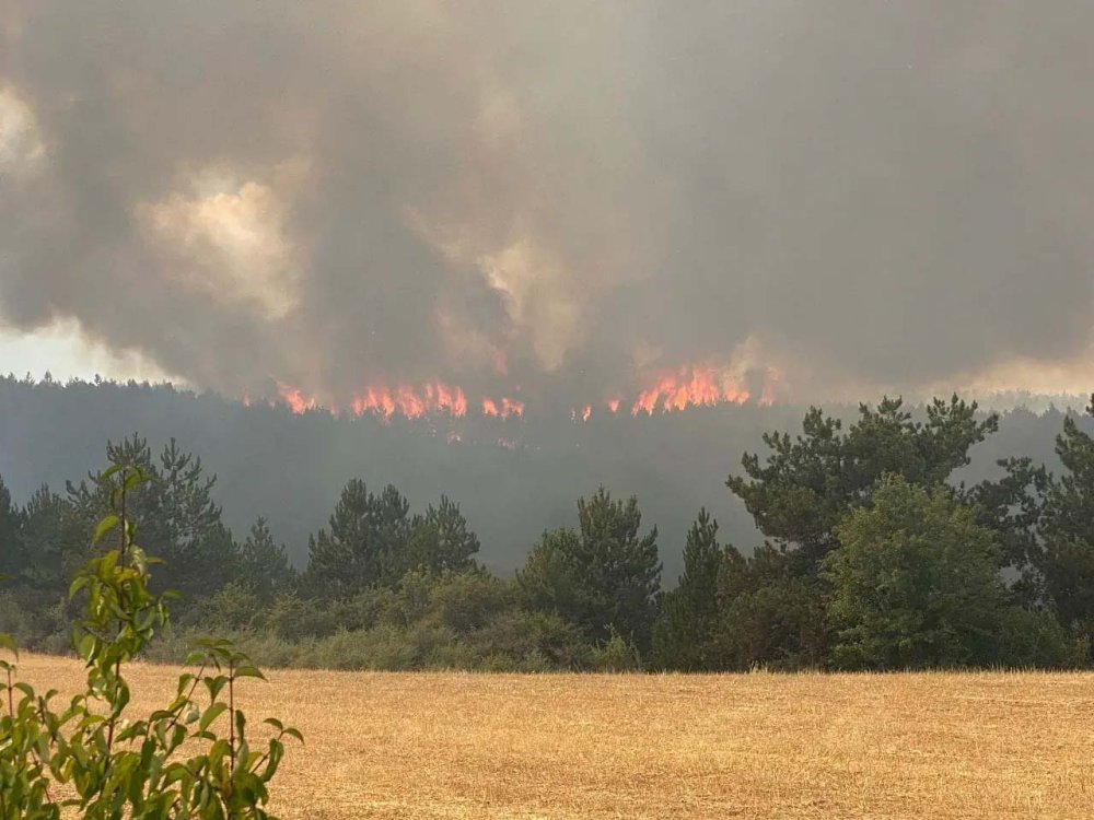 Son dakika! Kastamonu'da orman yangını çıktı