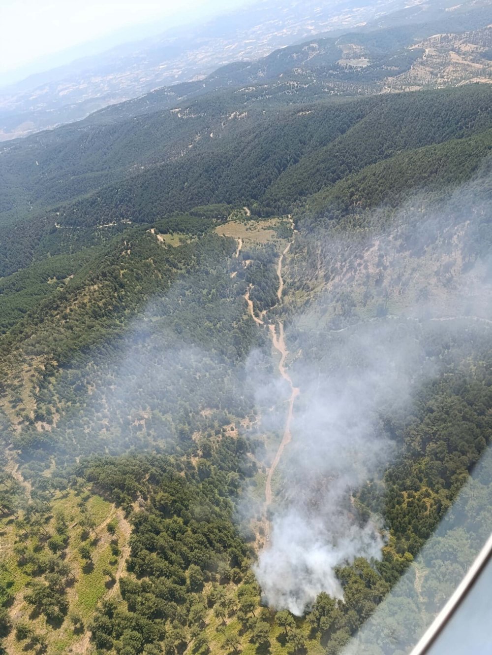 Balıkesir'de orman yangını