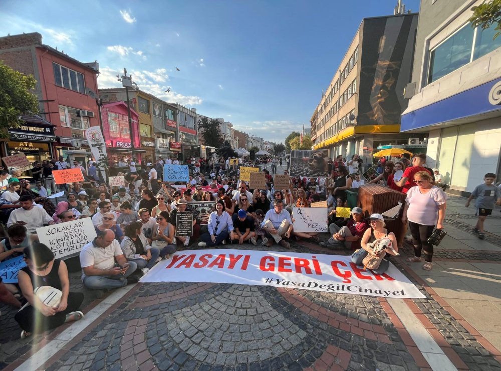 Edirne'de hayvanseverler yürüyüş ve oturma eylemi düzenledi