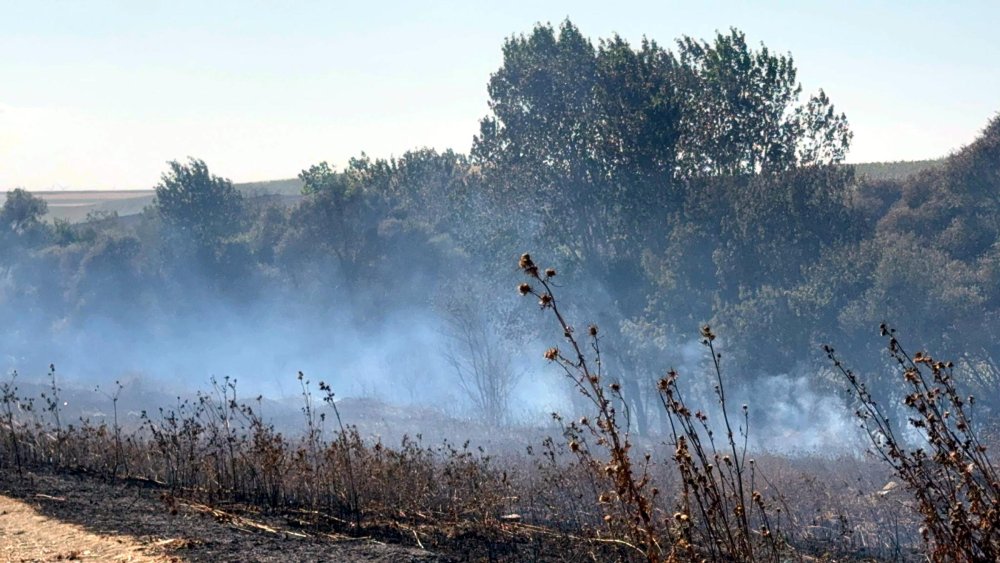 Tekirdağ’ın iki farklı piknik alanında yangın çıktı