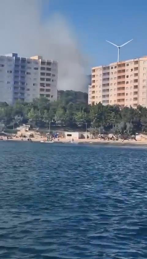 Yalova'da iki ayrı noktada orman yangını çıktı