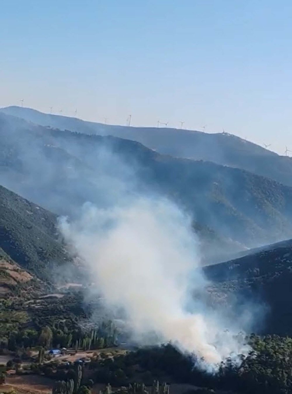 Balıkesir'de orman yangını