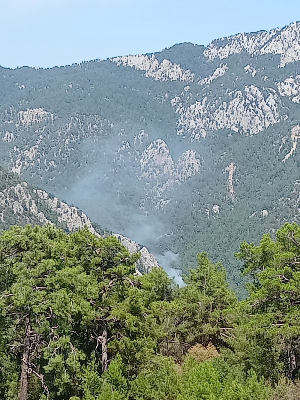 Antalya Kemer'de orman yangını çıktı