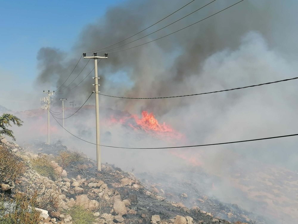 Bodrum'da otluk ve makilik yangını, ekipler söndürme çalışmalarına başladı