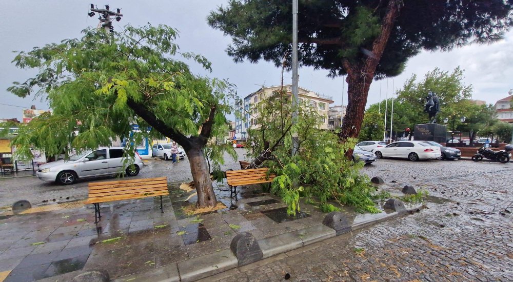 Marmaraereğlisi'nde etkili olan sağanak ve rüzgar ağaçları devirdi