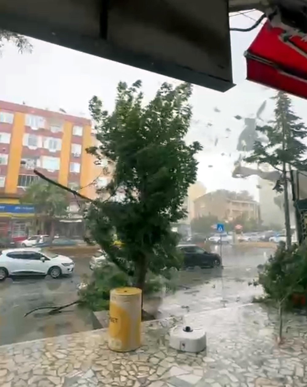 Marmaraereğlisi'nde etkili olan sağanak ve rüzgar ağaçları devirdi