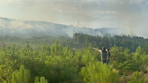 15 yıldır yanmayan ormanlarda, 8 günde 3 kez yangın çıktı