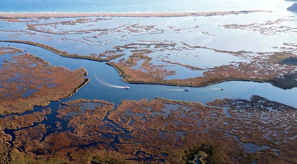 Dalyan Kanalı'nın labirent görünümlü sazlıkları