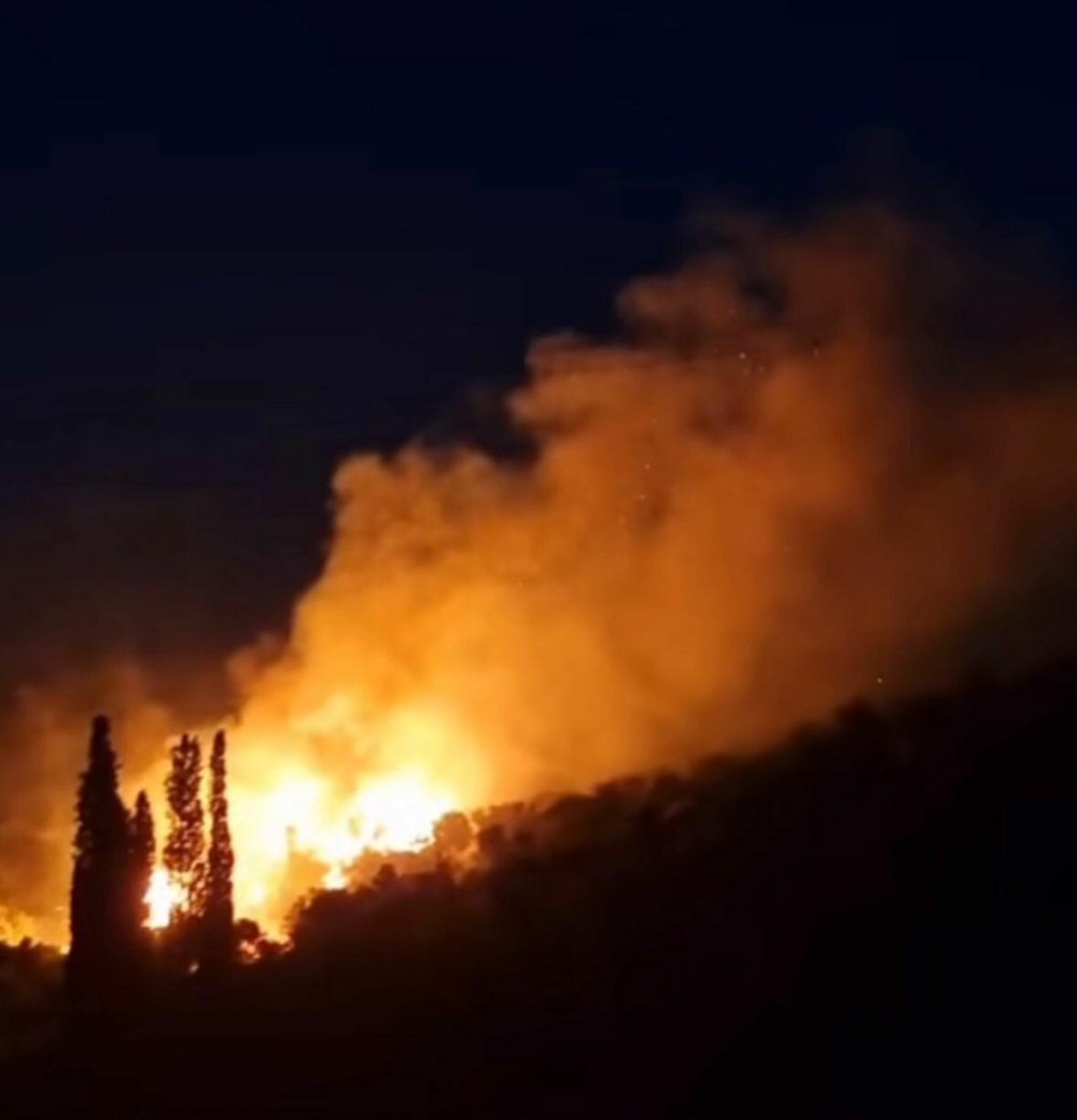 Karaburun'daki orman yangını kontrol altına alındı