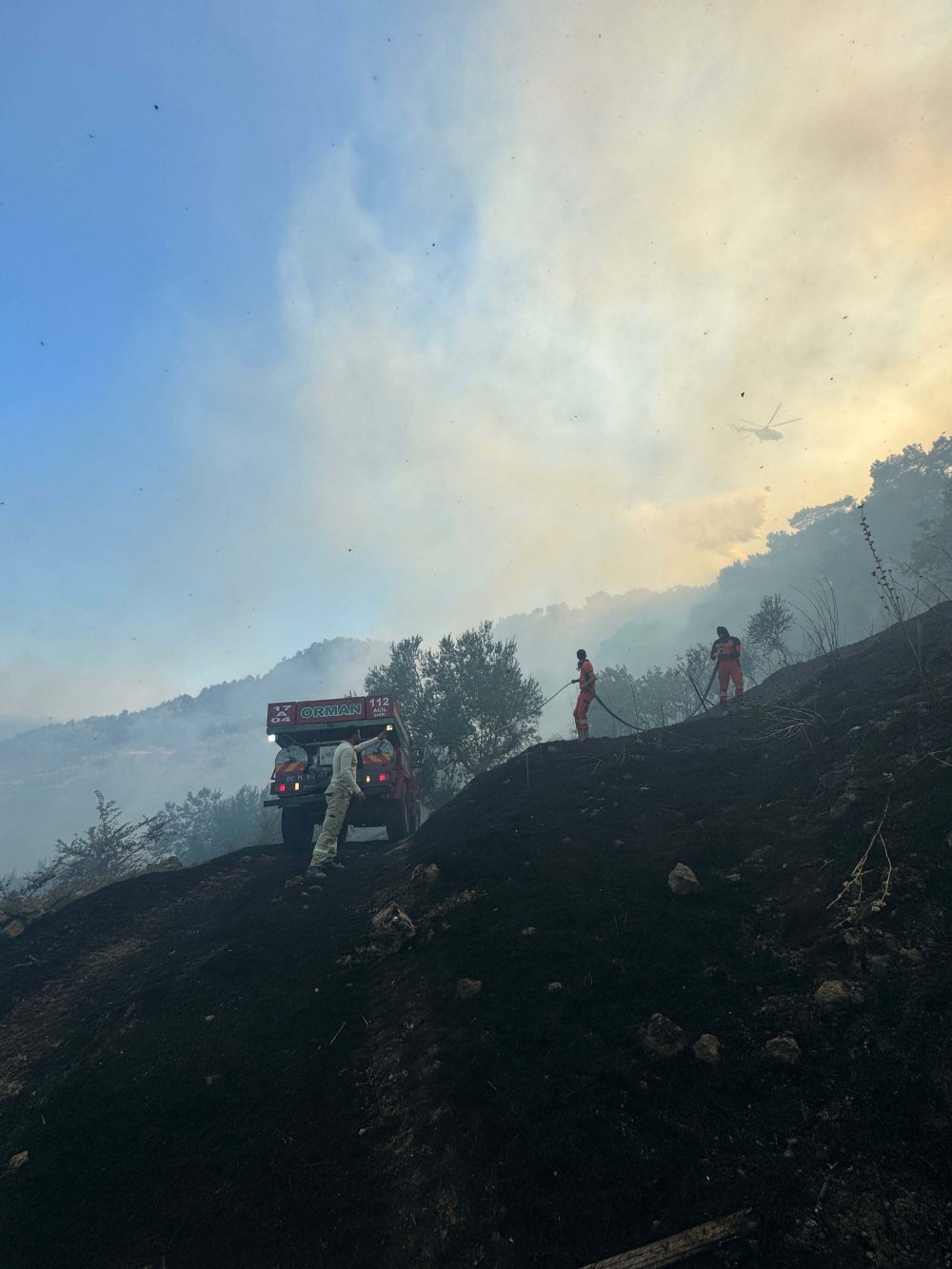 Çanakkale'de orman yangını