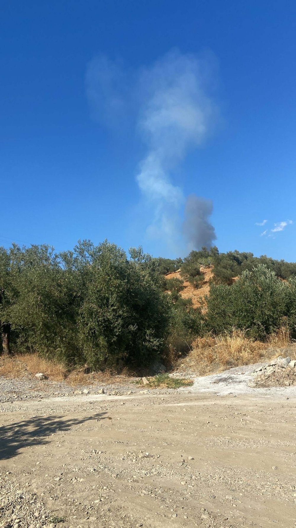 Çanakkale'de orman yangını