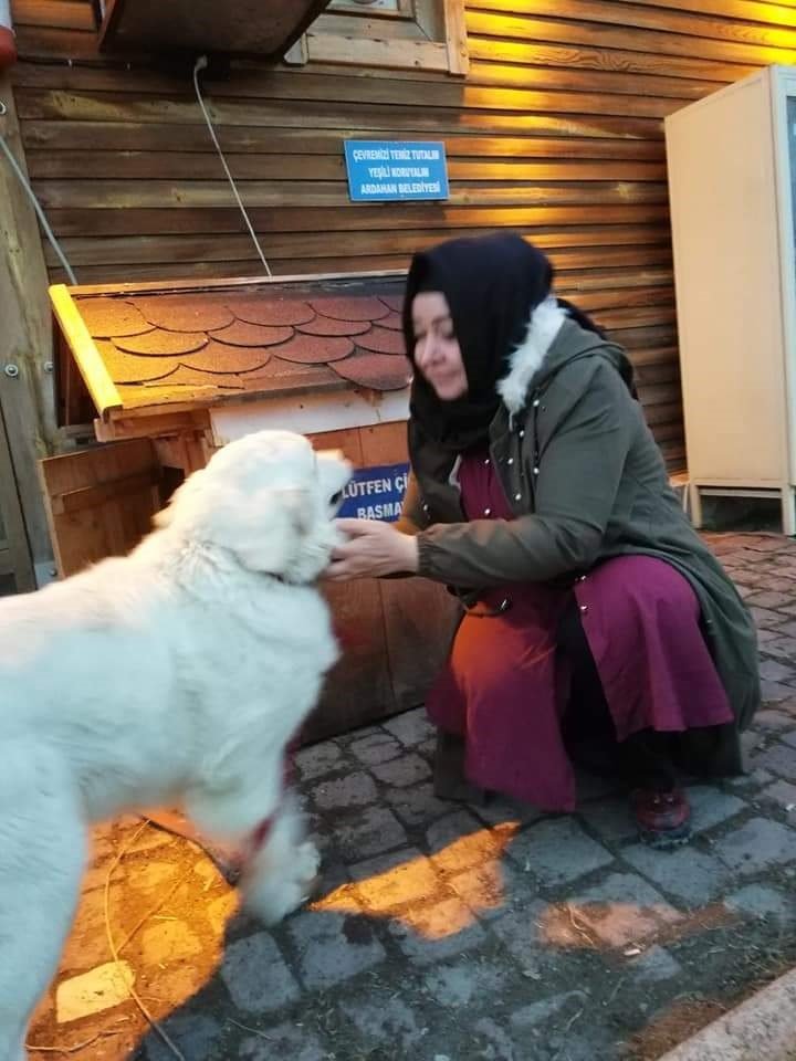 Sokak köpeklerine mama götürürken minibüsün çarpmasıyla hayatını kaybetti