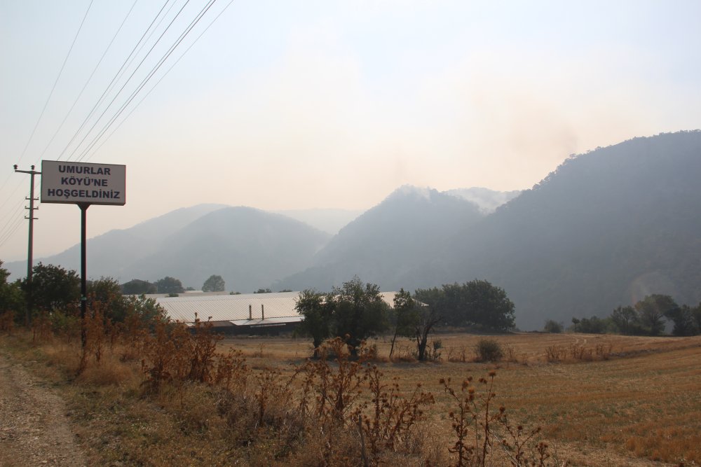 Bolu'da orman yangınında 3'üncü gün