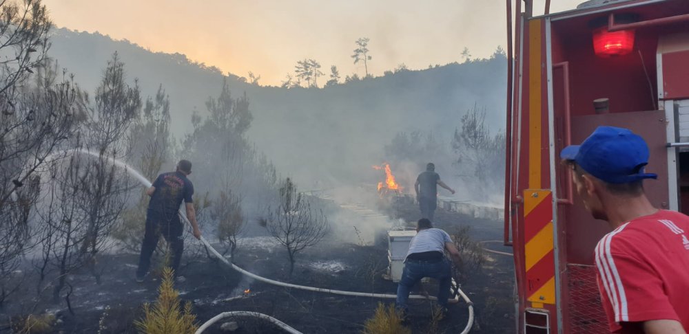 Arılar, yangına müdahale eden ekiplere zor anlar yaşattı