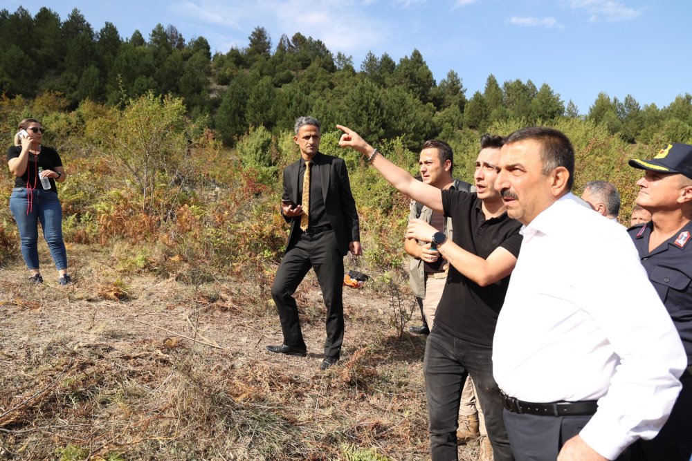 Zonguldak'taki orman yangını kontrol altına alındı