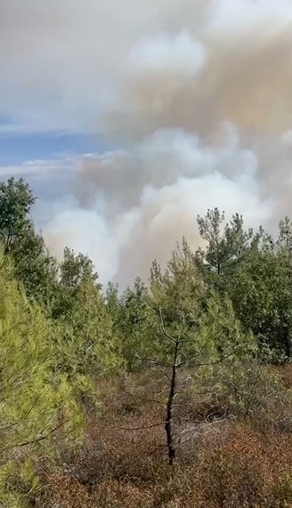 İznik'te orman yangını çıktı, havadan ve karadan çalışma başlatıldı