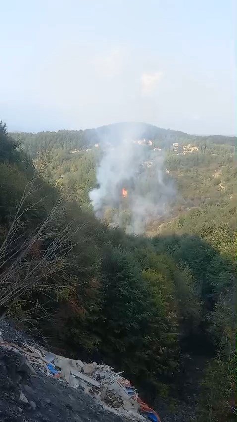 Zonguldak'ta orman yangını; 3 saatte kontrol altına alındı