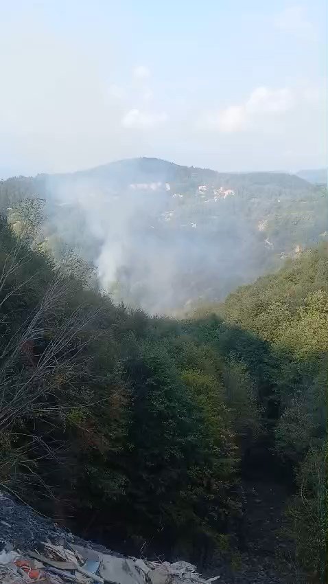 Zonguldak'ta orman yangını; 3 saatte kontrol altına alındı