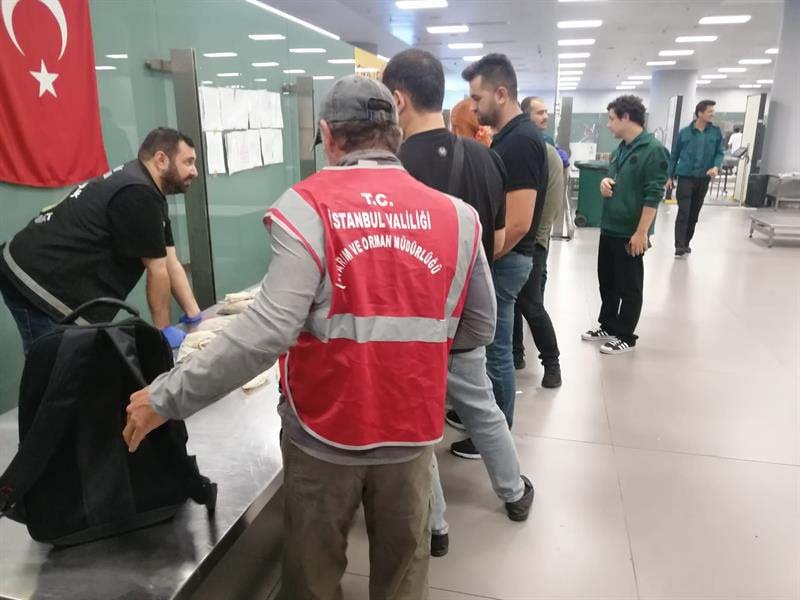 İstanbul Havalimanı’nda 20 bin adet sülük yakalandı