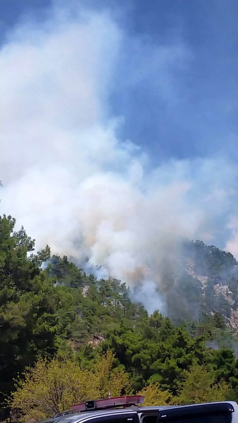 Antalya Kumluca'da orman yangını çıktı